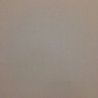 3/4 4 x 10 G2S unprimed mdo Plywood
