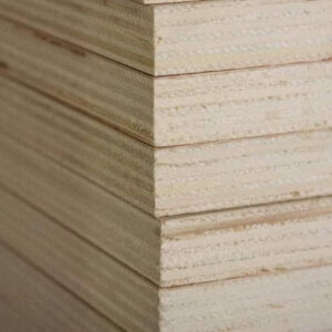 1/2 5 X 5 VC BB/BB ITALIAN POPLAR / ITALIAN POPLAR SHOP  FL-WS