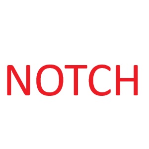 2 X 4 X 10ft #2 Notched KD HT SPF Stud 