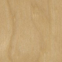 3/4 4 X 8 VC BIRCH / BIRCH SHOP