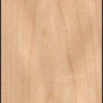 Maple Veneer